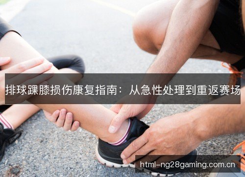排球踝膝损伤康复指南:从急性处理到重返赛场 排球踝膝损伤康复指南:从急性处理到重返赛场